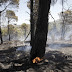 Σε ύφεση η πυρκαγιά στο Καρπενήσι - Απείλησε ξενοδοχεία και σπίτια
