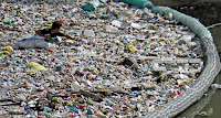 https://www.who.int/news-room/detail/22-08-2019-who-calls-for-more-research-into-microplastics-and-a-crackdown-on-plastic-pollution