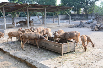 Gembiraloka Zoo