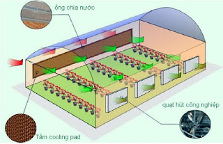 nguy%25C3%25AAn%2Bl%25C3%25BD%2Bt%25E1%25BA%25A5m%2Bcoolingpad.jpg