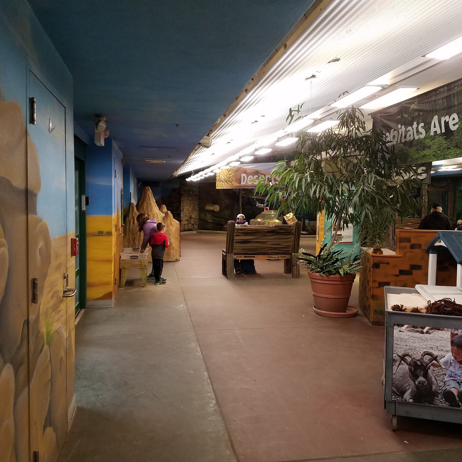 Play St. Louis St. Louis Zoo Children's Zoo, St. Louis