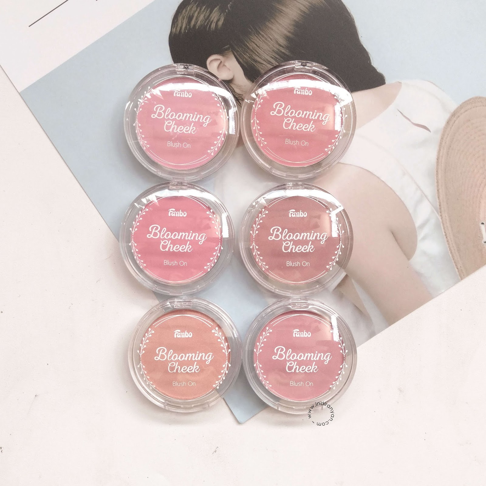 fanbo-blooming-cheek-review