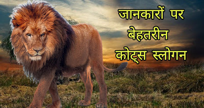 Animals Quotes Hindi