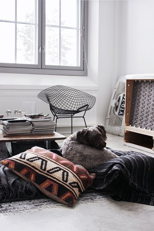 NOSSOS FIÉIS COMPANHEIROS