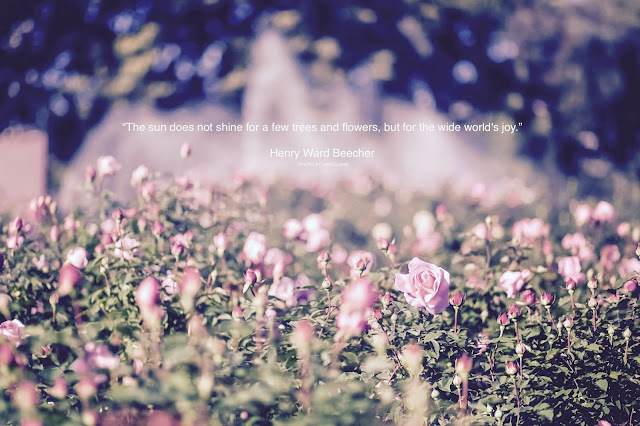 A Flower For You by lancelonie A Flower For You by lancelonie