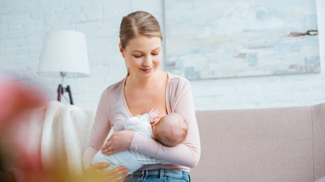 Manfaat Labu Siam Untuk Bayi Manfaat Labu Siam Untuk Bayi