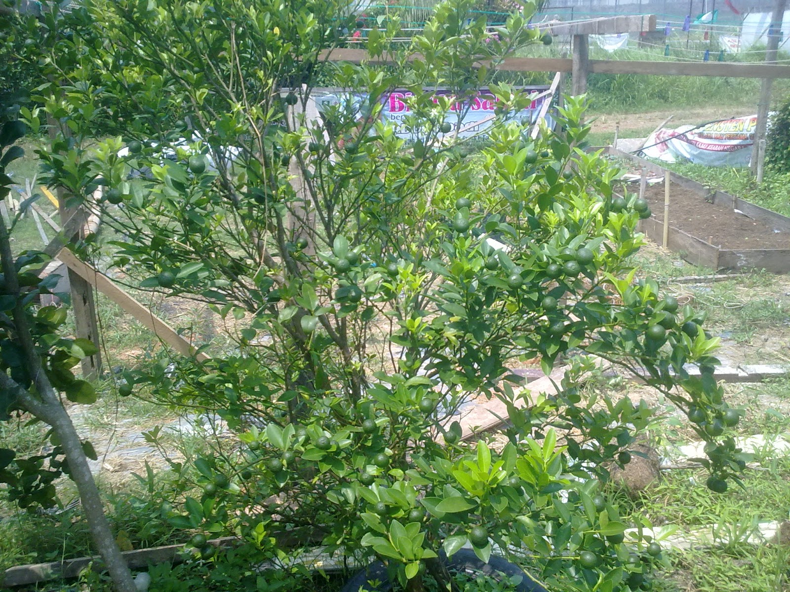 JOM SANTAI DI PANTAI NELAYAN