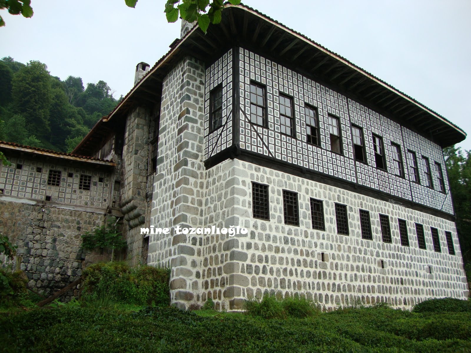 MİNE TOZANLIOĞLU Dolma Taş Evler ( Fındıklı Rize)