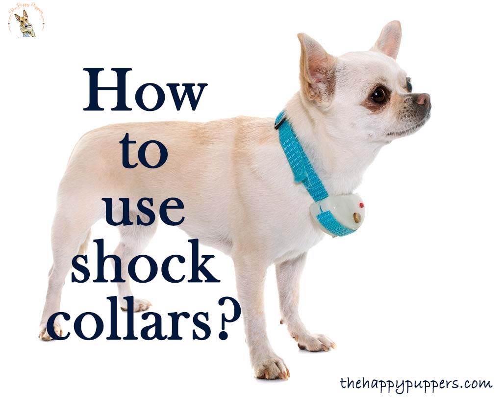 How to use shock collars? How to use shock collars?