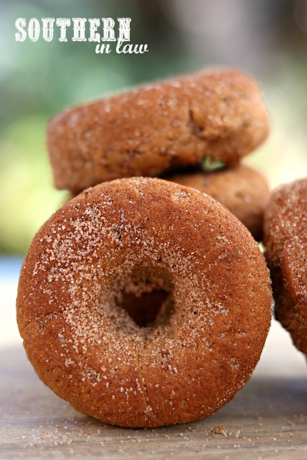 Southern In Law Recipe The Best Gluten Free Baked Cinnamon Donuts
