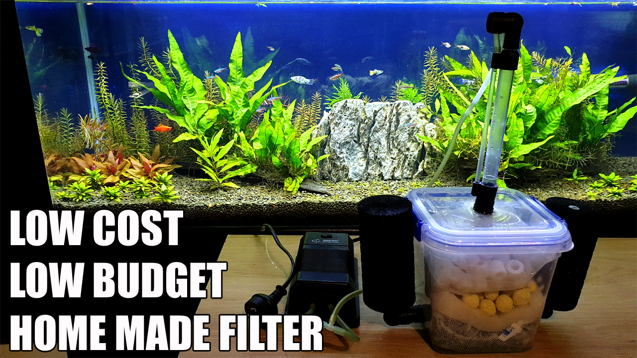 How to Build DIY Aquarium Air Filter at Home?