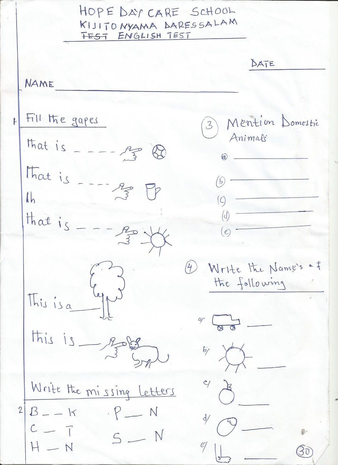 Essay for primary school picture