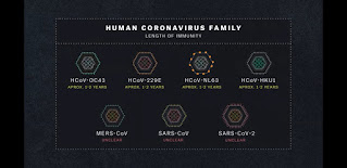 coronavirus family