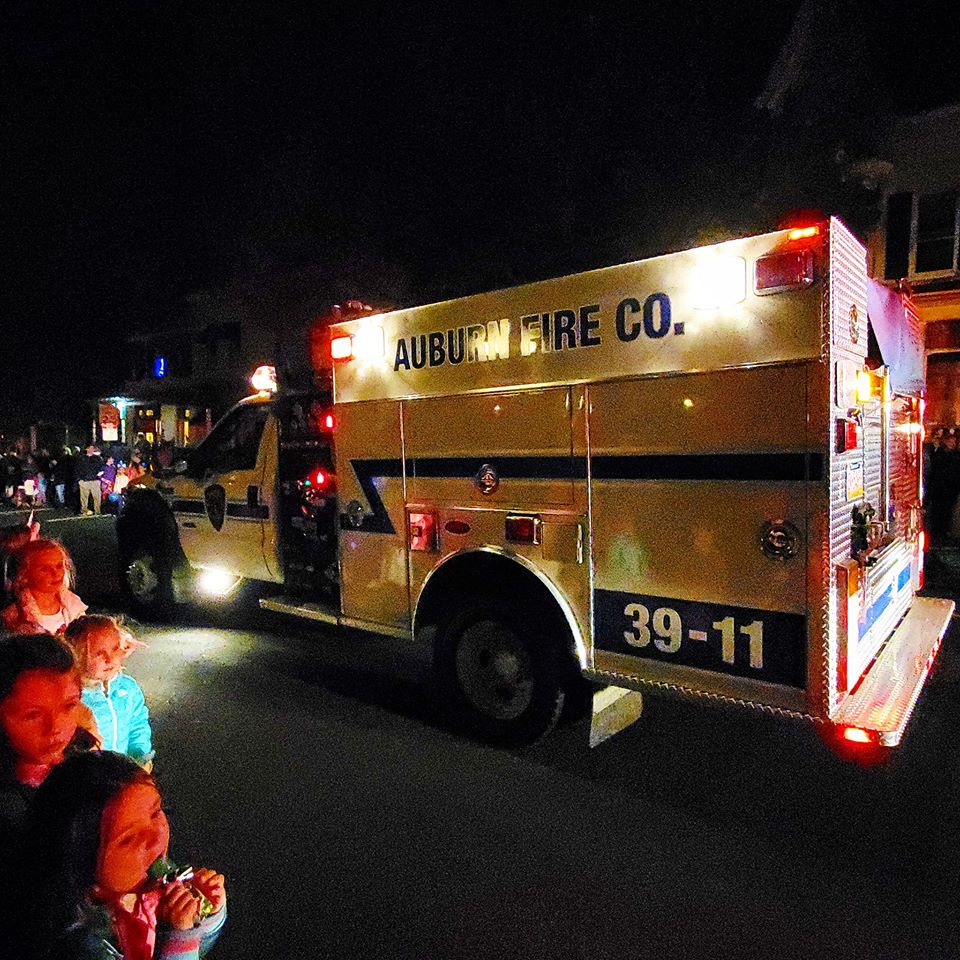 PHOTOS Orwigsburg Halloween Parade