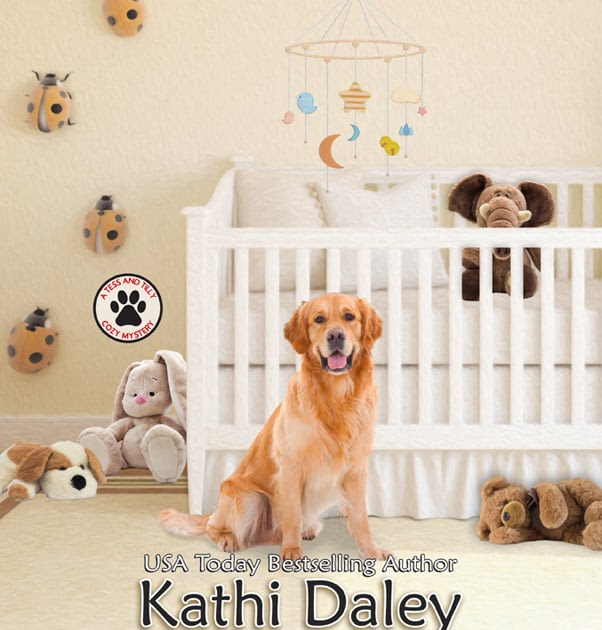 "The Baby Plan" By Kathi Daley Review/Giveaway