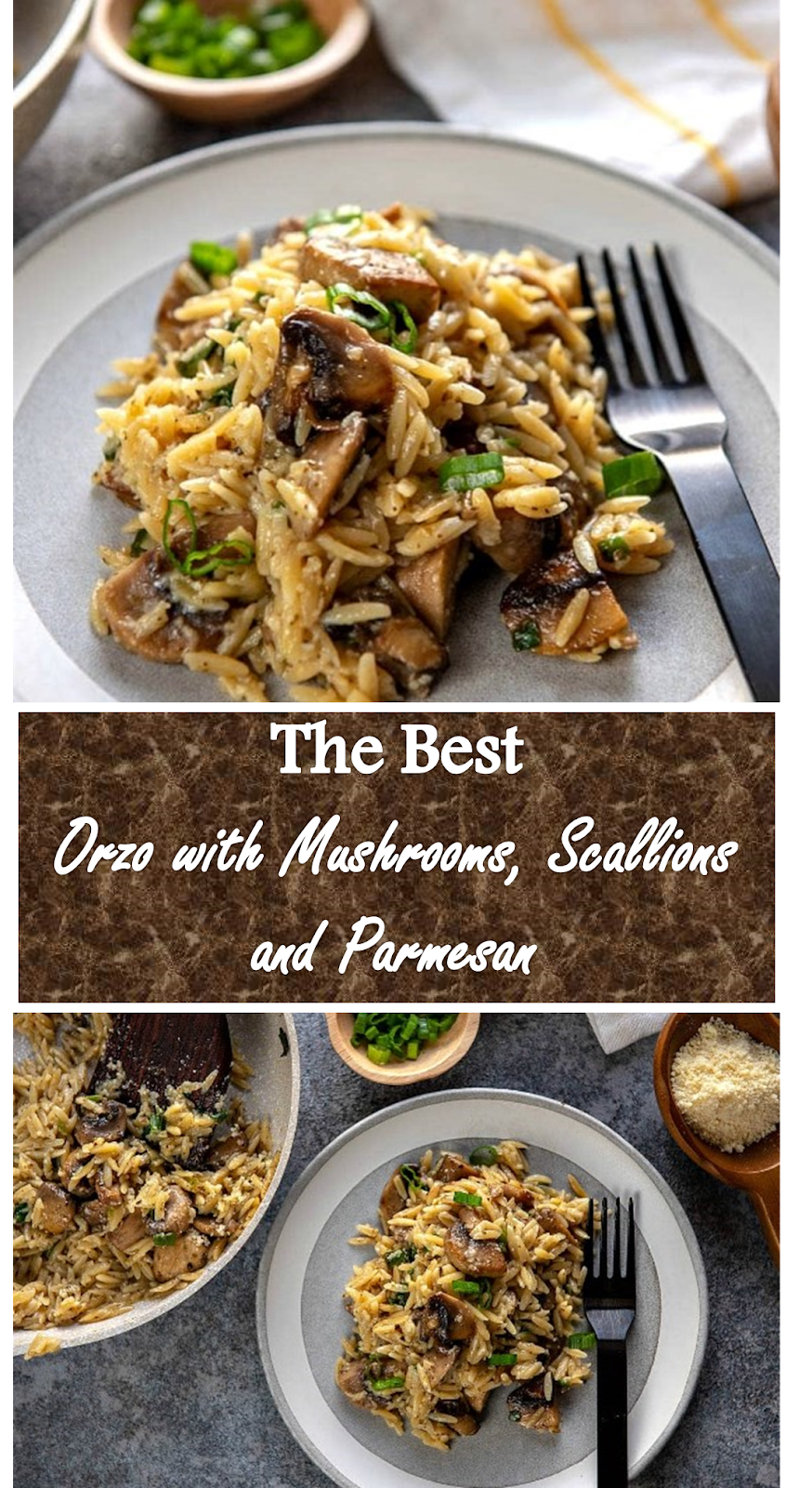 502 Reviews: #Best #Recipe >>> Orzo with #Mushrooms, Scallions, and # ...