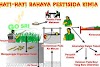 Dampak Negatif dari Penggunaan Pestisida Kimia