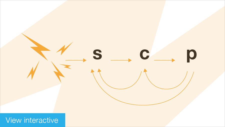 Management&Business: Enduring Ideas: The SCP Framework