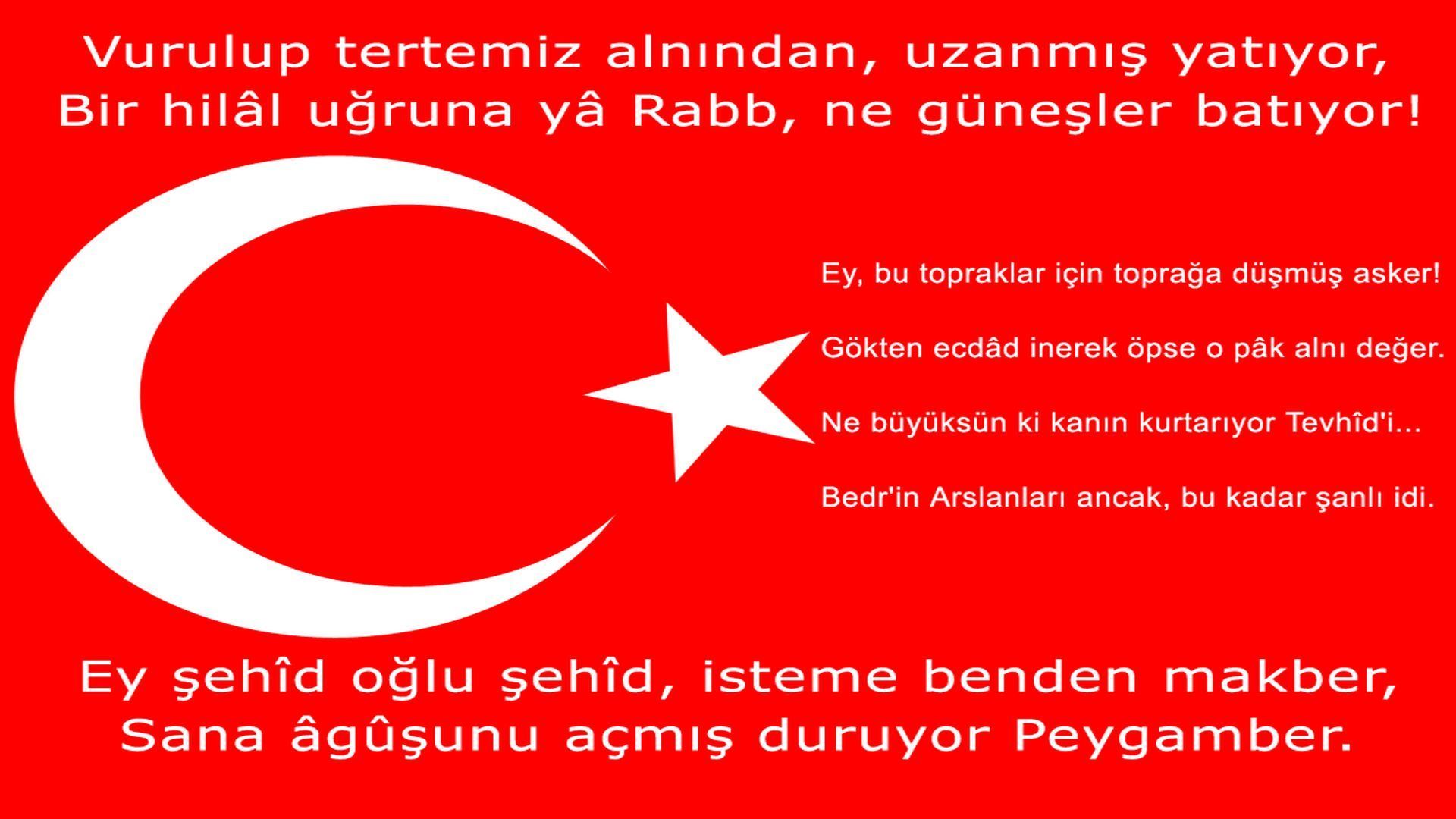 Resimli turk bayragi sozleri 3