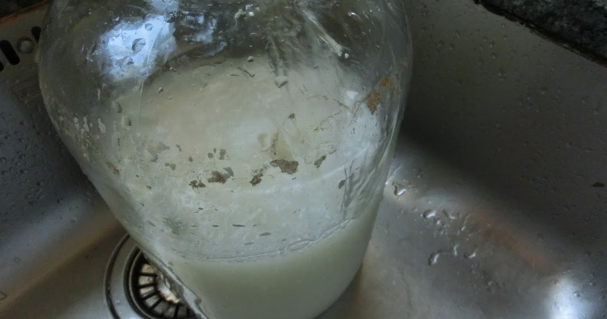 wigton physics Coanda Effect in the washing up