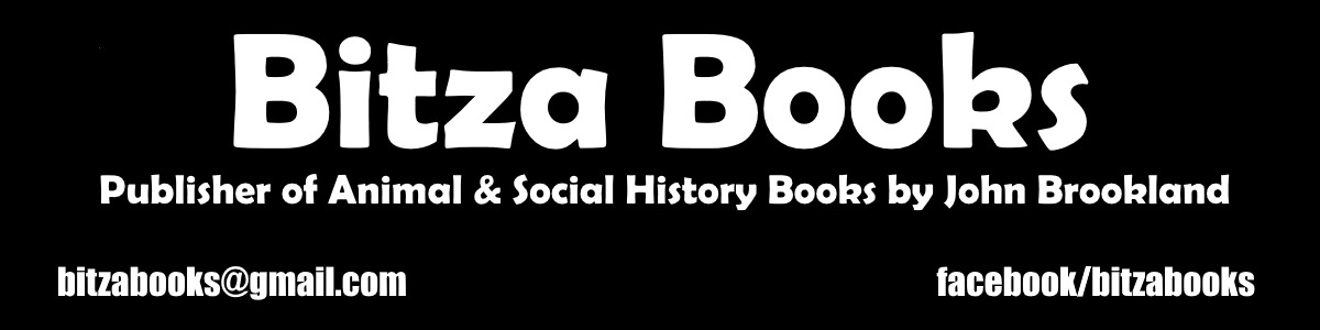 Bitzabooks