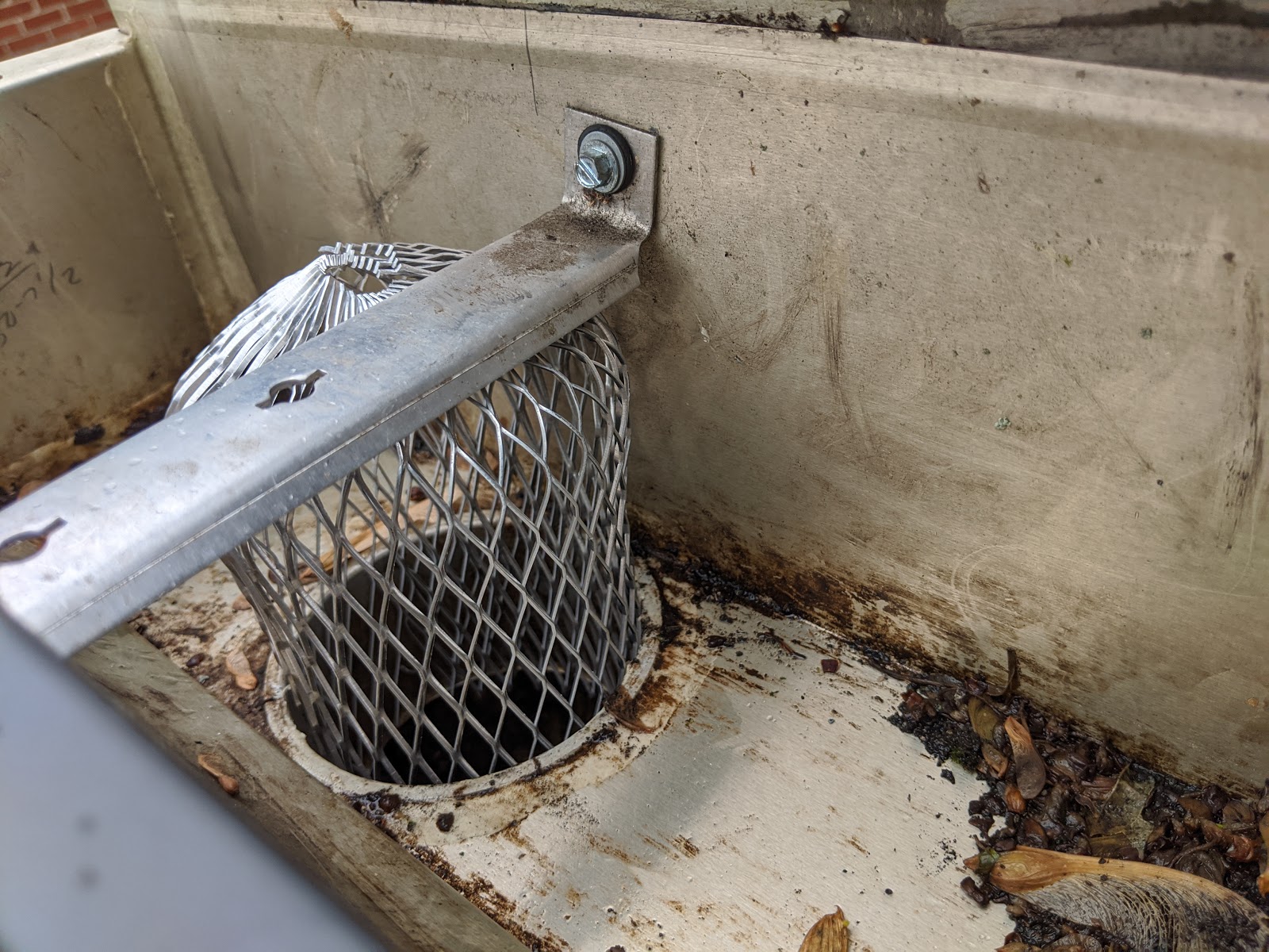 Paul's Daily Posts Gutter Strainer