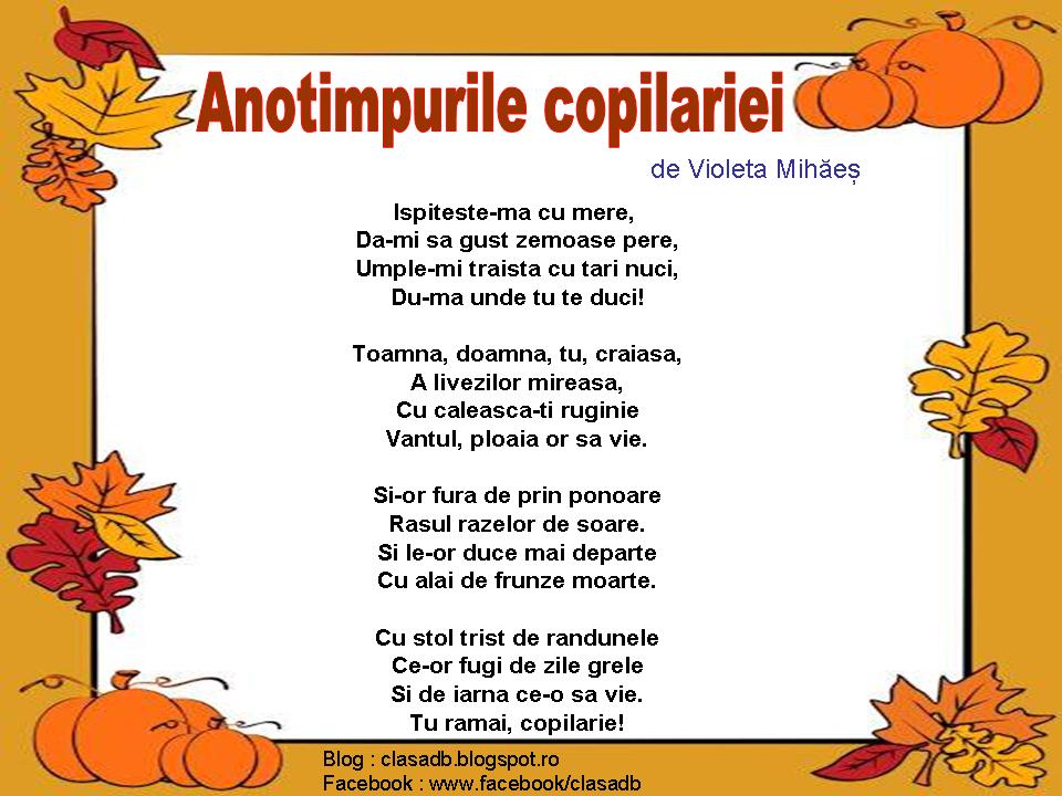 CLASA NOASTR?: ANOTIMPURILE COPILARIEI