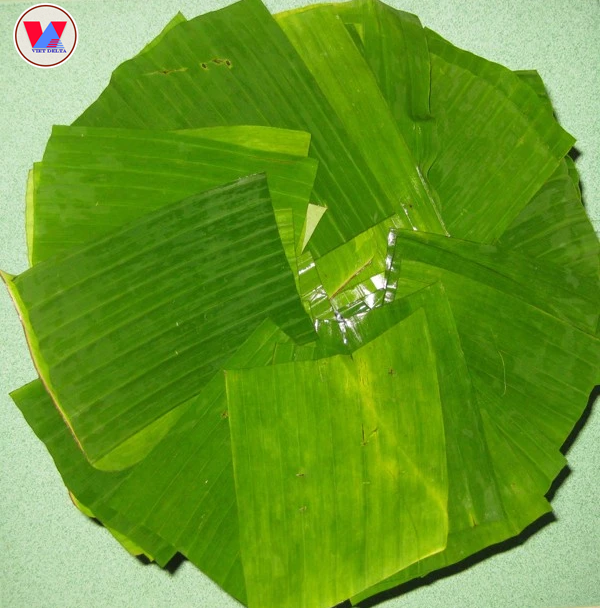 Banana leaf