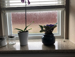 vinyl window replacement windows aesthetic rain glass connection privacy bathroom dallas