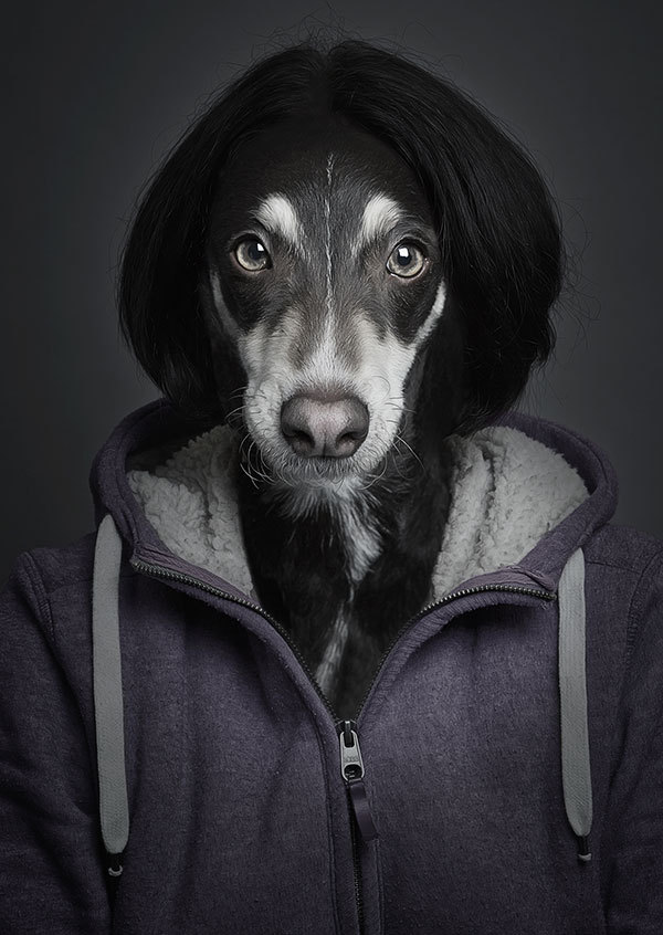 Portraits of Dogs Dressed Like Humans