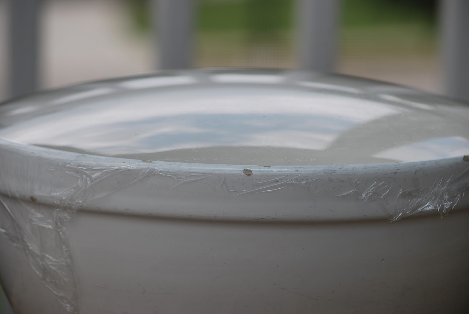 My story in recipes Buttermilk Yeast Rolls