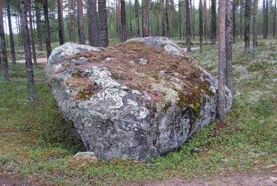 Purpose&mldr;: The Rock