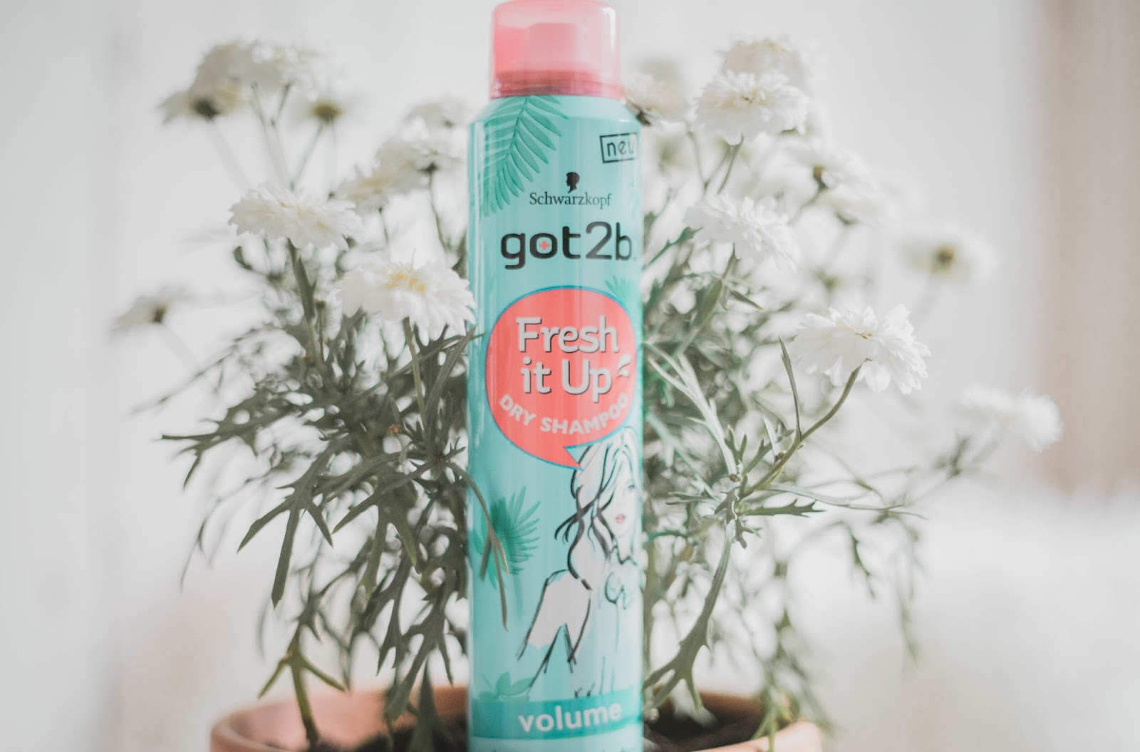 væv ikke indbildskhed Got2b "Fresh it Up" Dry Shampoo Review - stylepeaches