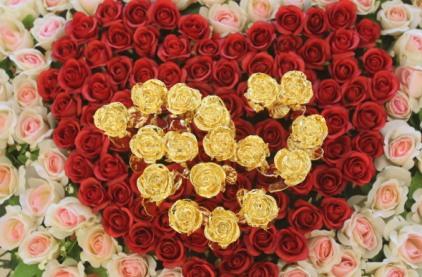 Best Flowers In The World: Best Top 5 Valentines Day Flowers