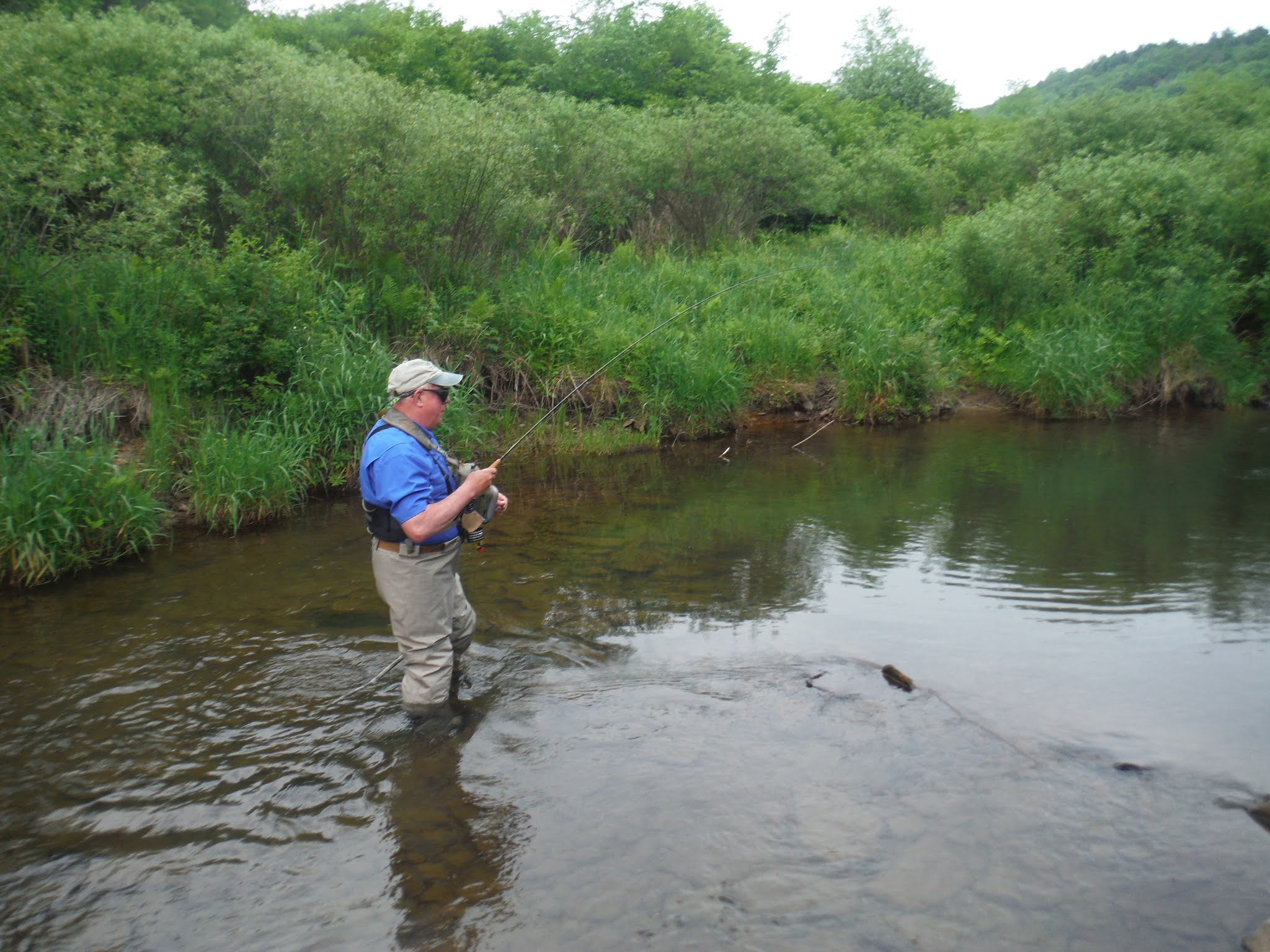 Mikey D Fishing Potter County Fishing Report First Fork of the
