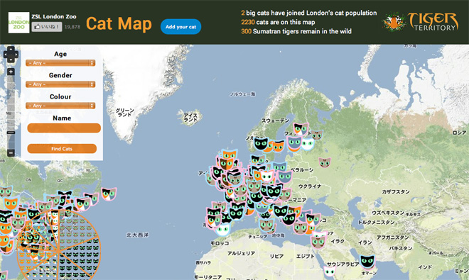 Карта где находится cartoon cat