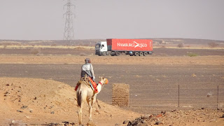 Walks the camel into the sudanese desert