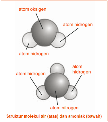 Gambar molekul pada senyawa air dan amoniak