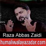 https://www.humaliwalayazadar.com/2013/06/syed-raza-abbas-zaidi-nohay-2006-2013.html