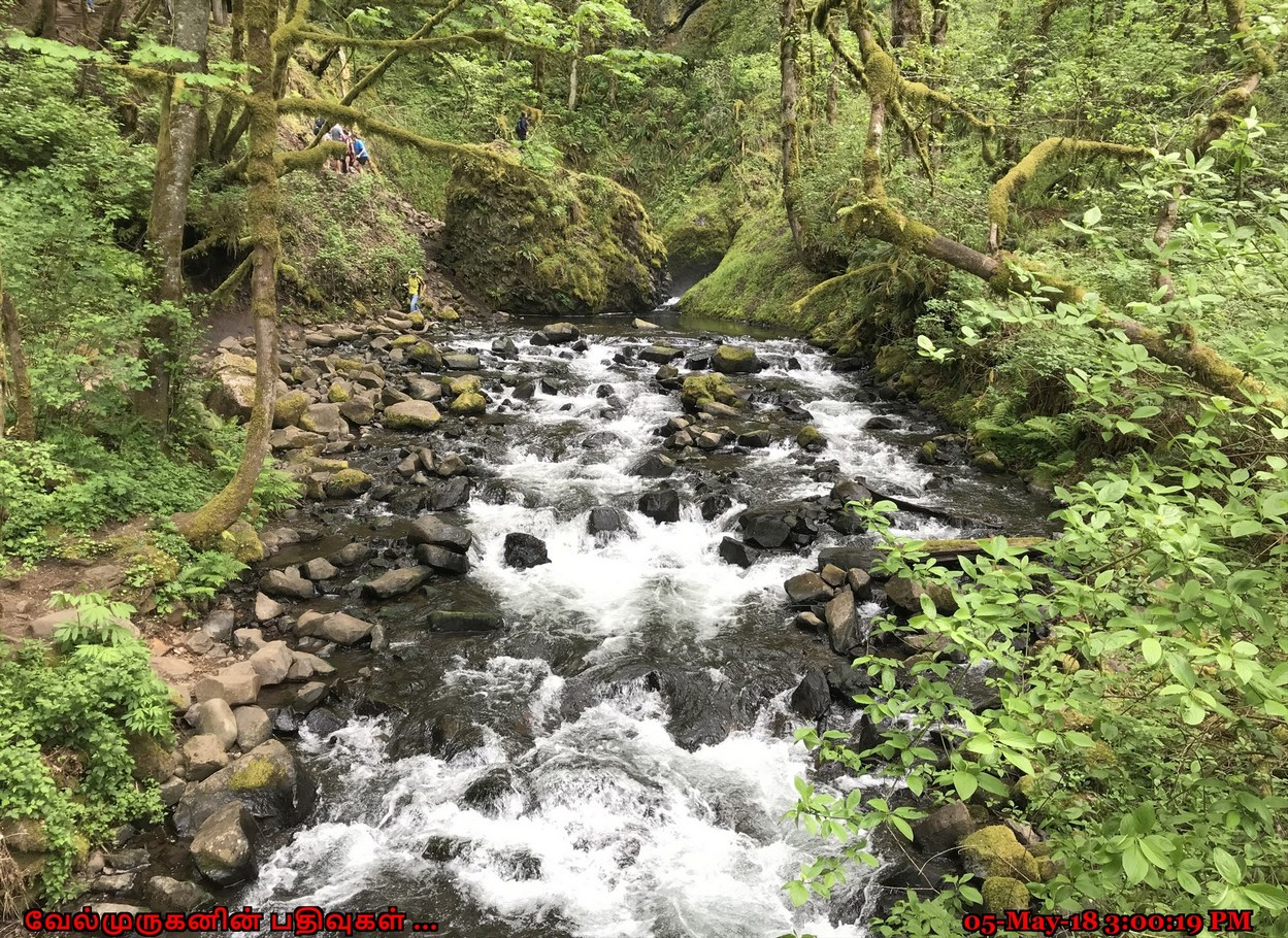 Bridal Veil Falls Columbia River Exploring My Life