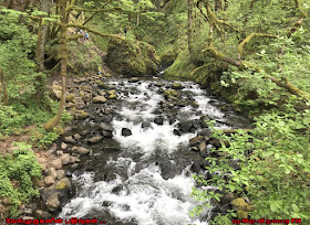Bridal Veil creek Oregon