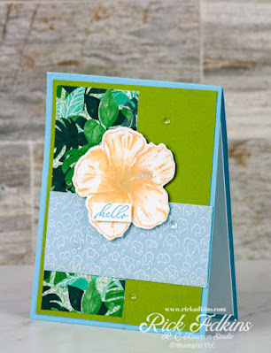 I am kicking off a new series on my blog today on using card sketches.  Todays card features the Timeless Tropical Stamp Set.