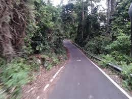CLICK TO ENLARGE Monyet Besar Menumpang Truk