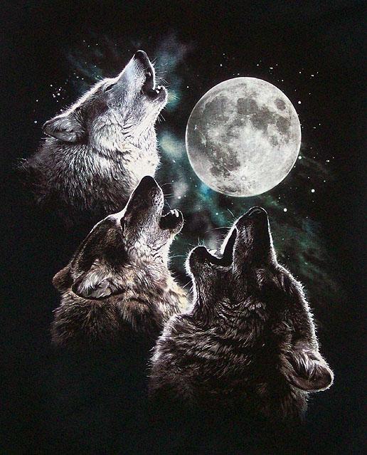 Semaj's Blog your Blog: Three-Wolf-Spirit shirt