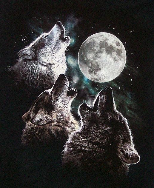 Semaj's Blog your Blog: Three-Wolf-Spirit shirt