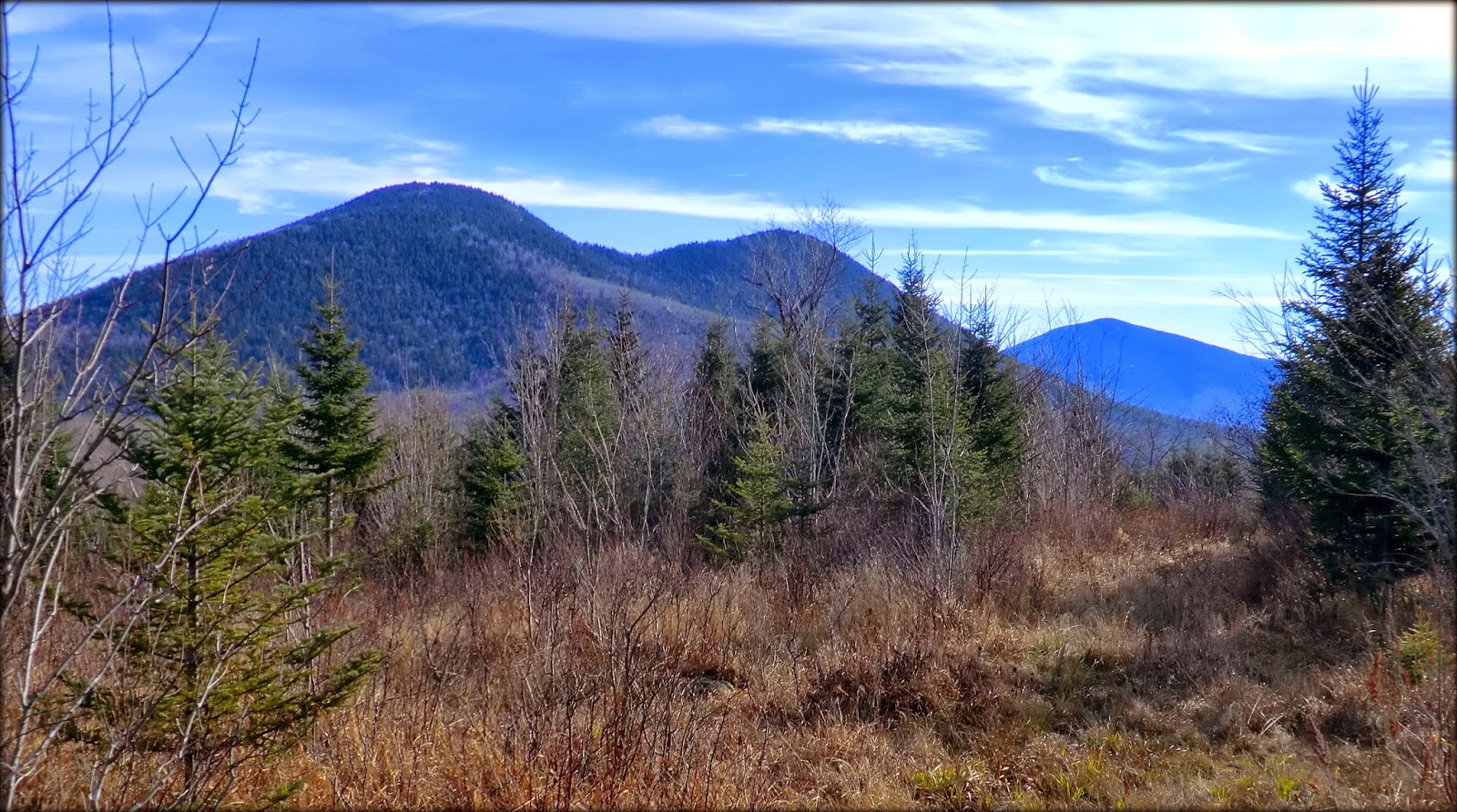 1HappyHiker Black Mountain (Jackson, NH) 2 Treks, 2 Days Apart!