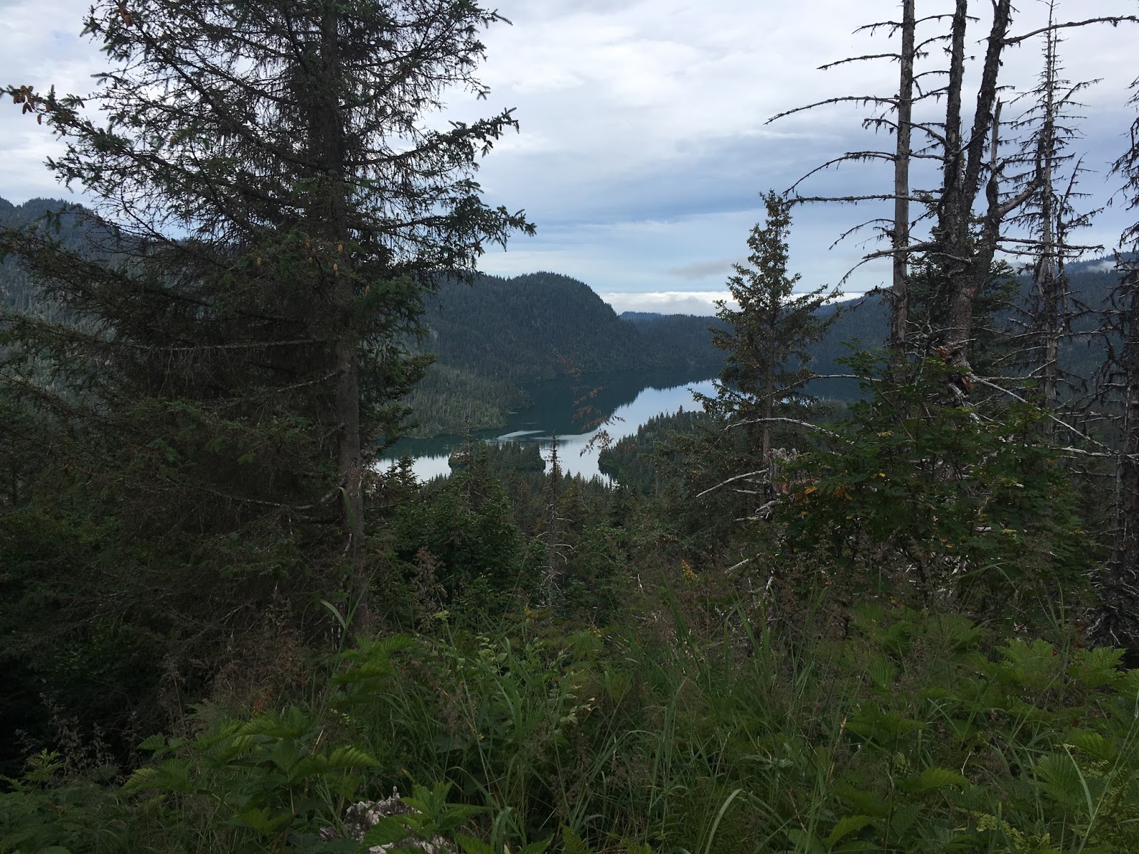 Life in Alaska — A View From Homer Climbing Poot Peak