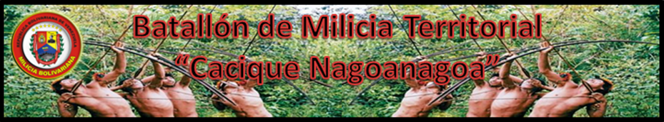 Batallón de Milicia Territorial de Empleo Territorial "Cacique Nagoanagoa"
