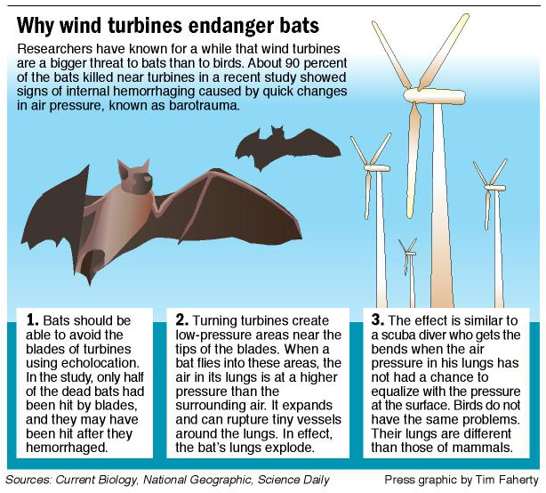 Howto, Tips and Articles Millions of Birds, Bats and Insects Killed