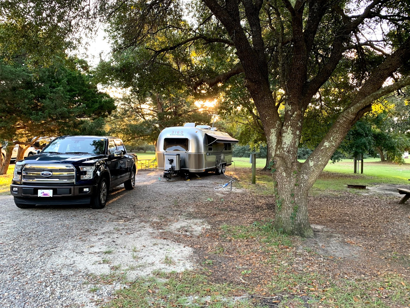 Cozy Rosie Huntington Beach State Park Murrells Inlet, South Carolina (October 2019)